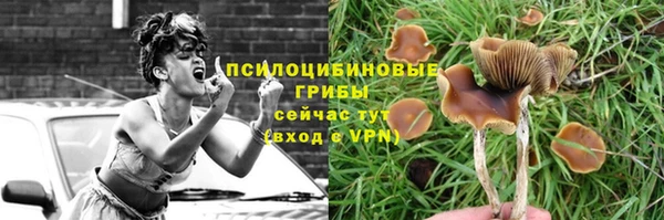 каннабис Белокуриха