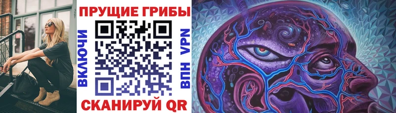 Галлюциногенные грибы Cubensis где продают Мезень